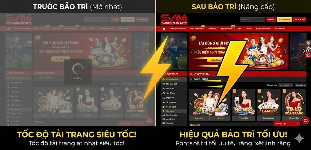 Đồng hành cùng khách hàng với sự hỗ trợ tận tâm trong suốt thời gian gián đoạn